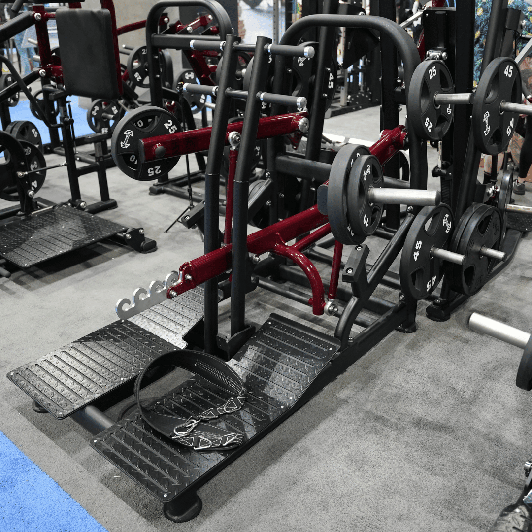 Pro Strength Belt Squat - Muscle D Fitness - Standing Belted Hip Thrust - Plate Loaded