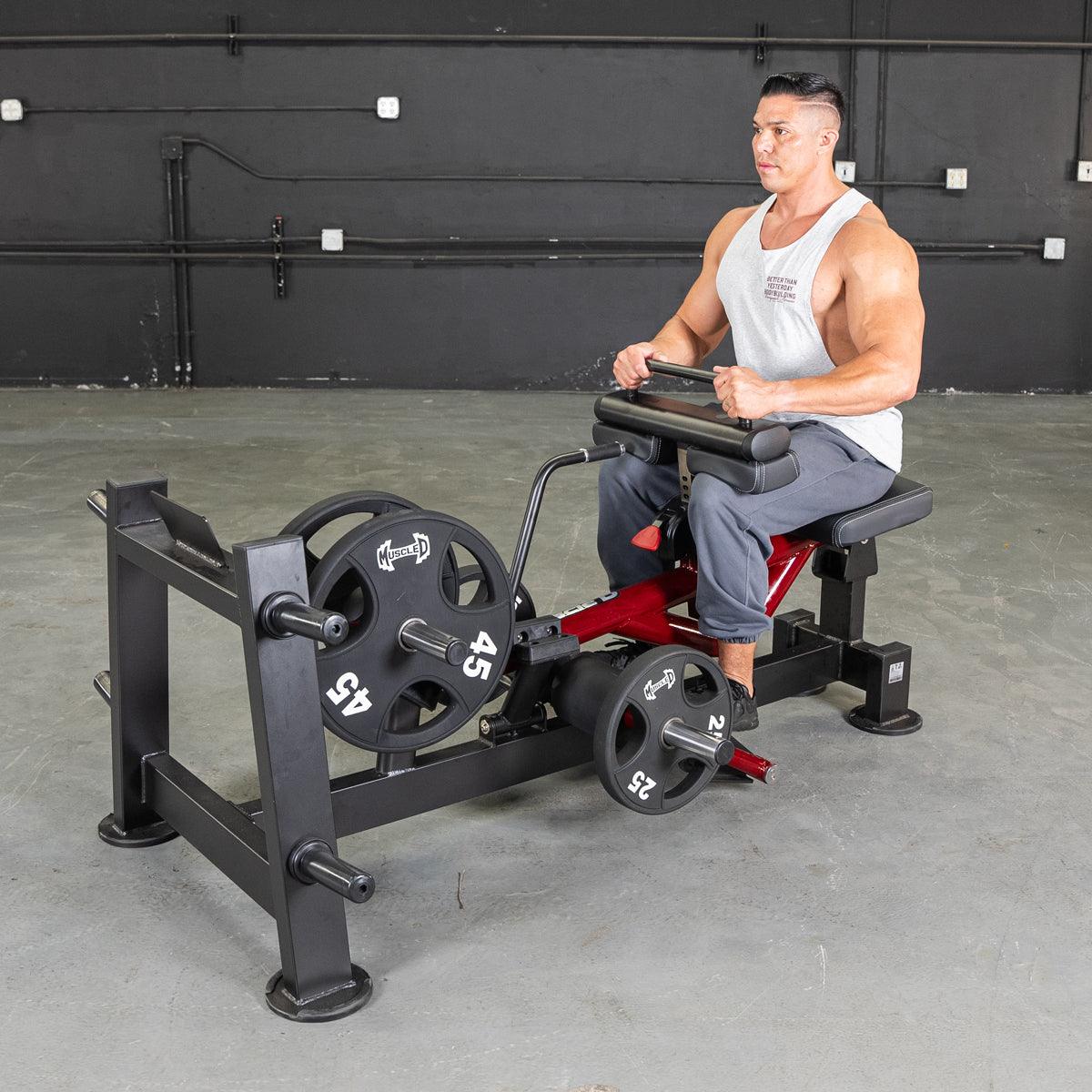Power Leverage V2 Seated Calf / Tib - Muscle D Fitness