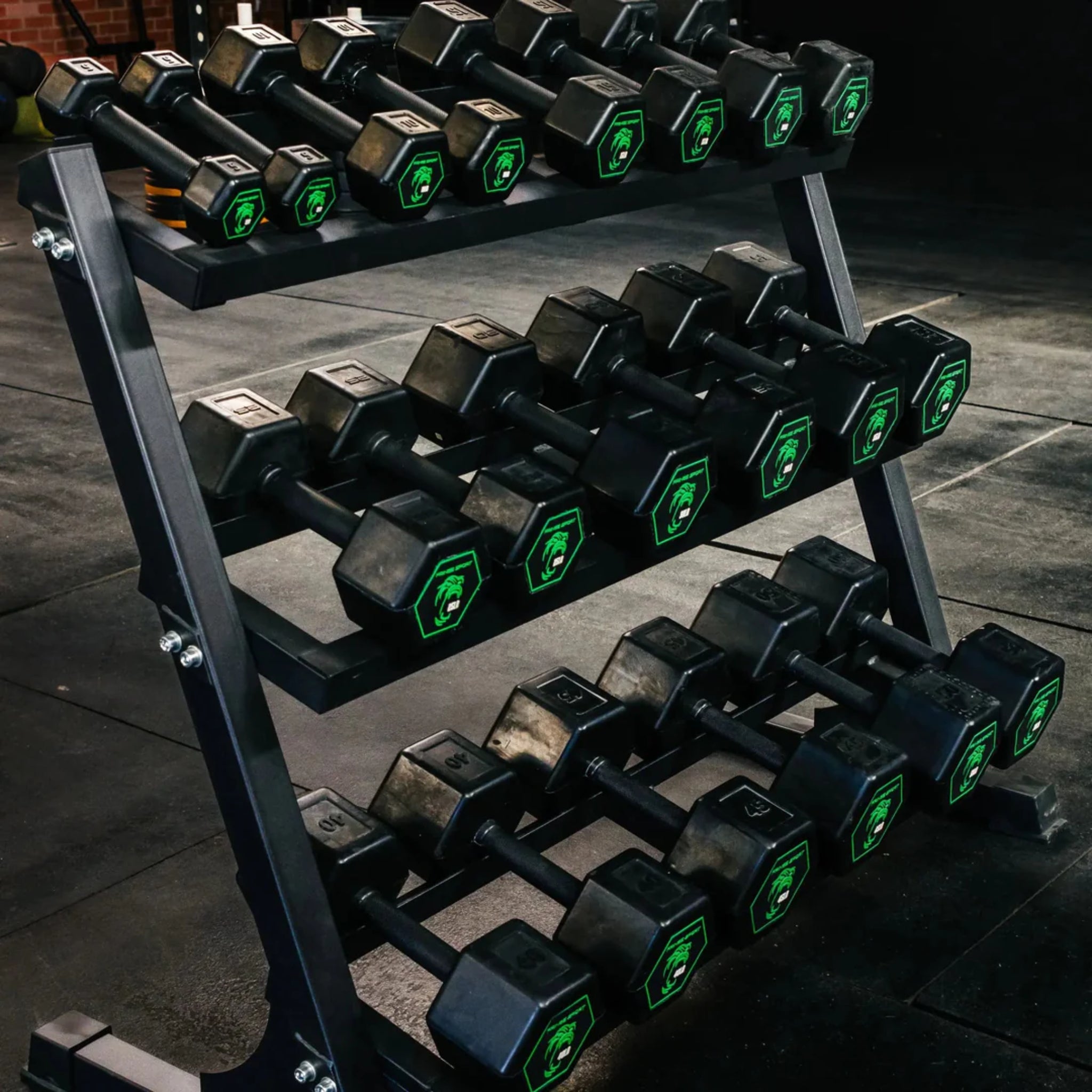 Fringe Sport Silverback Rubber Dumbbell Set – 80 to 100 lb (5 Pairs)