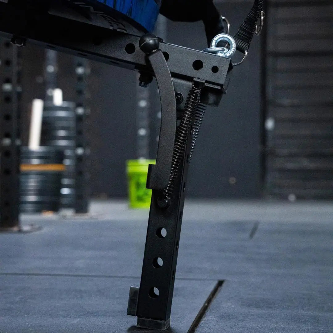 Fringe Sport Mammoth Belt Squat (With Free Belt)