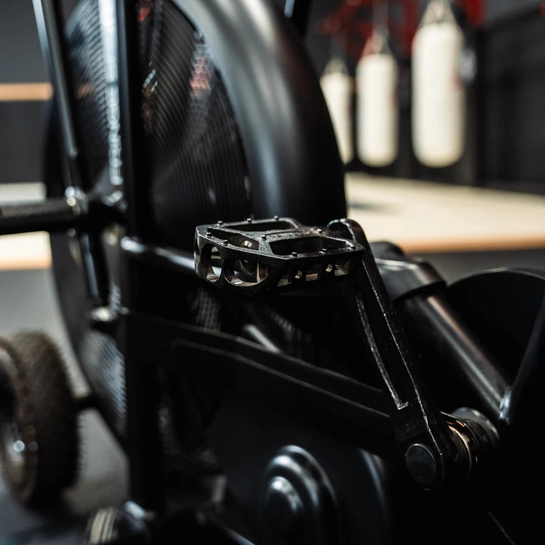 Fringe Sport Raptor AirBike