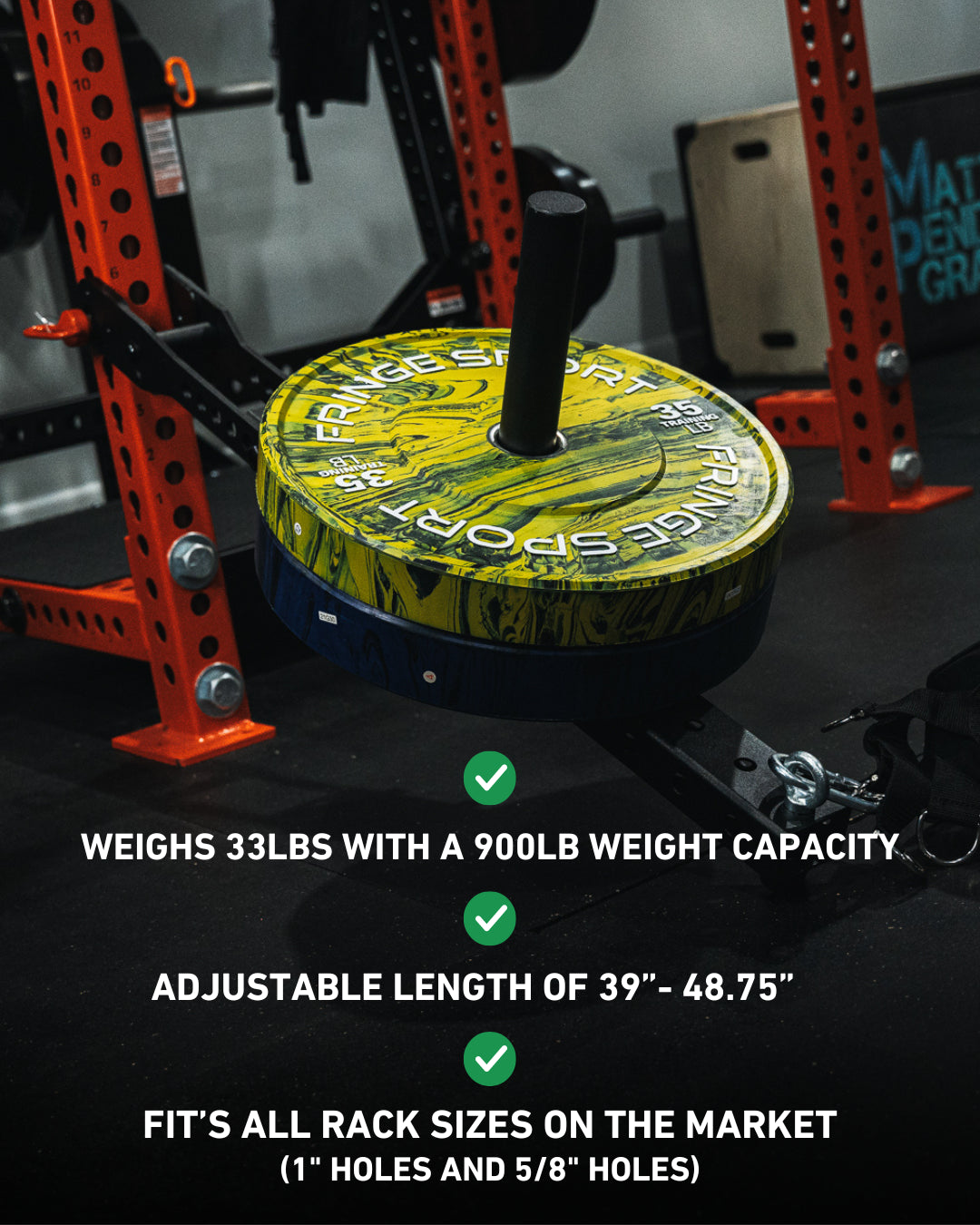 Fringe Sport Mammoth Belt Squat (With Free Belt)