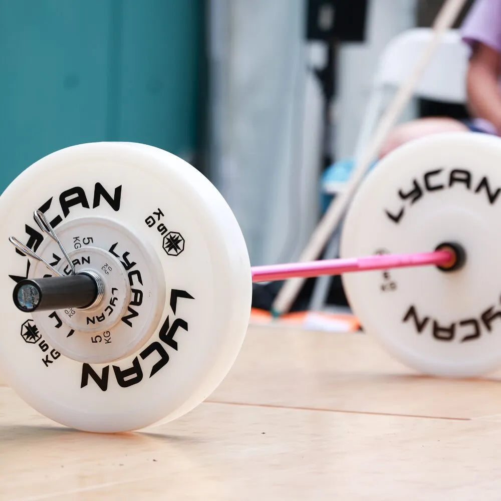 Lycan Technique Plates (pair)